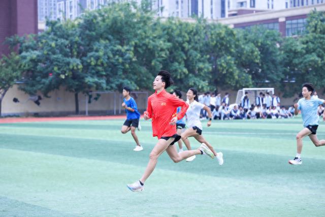 团体赛冠军是每人一块金牌吗_团体冠军几个金牌_竞走团体冠军王娜