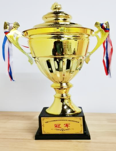 合肥市足球冠军是谁_合肥足球运动员_2020合肥市足球联赛